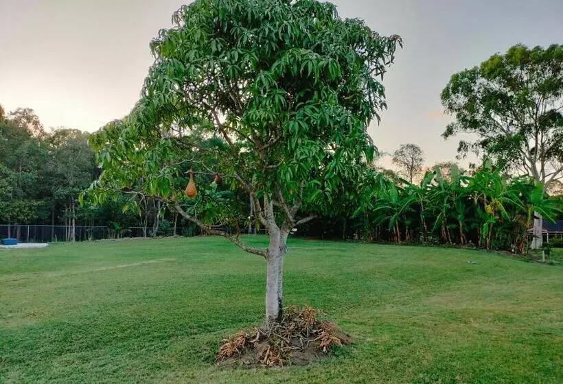 Majatalo The Woodlands Hideaway   Premium Acreage Guesthouse