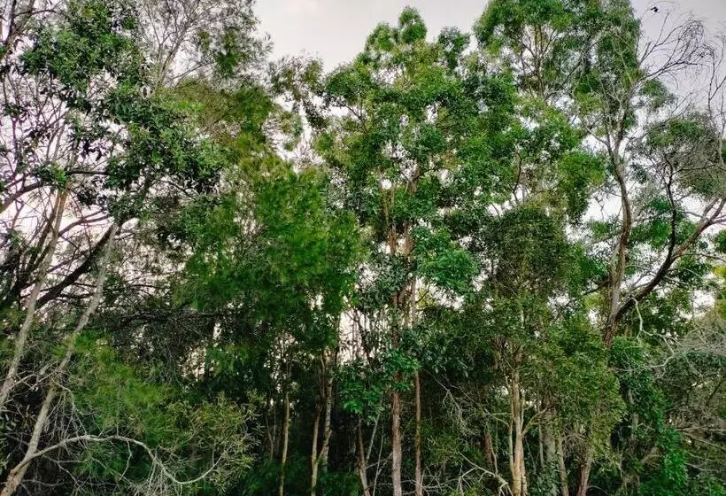 Majatalo The Woodlands Hideaway   Premium Acreage Guesthouse