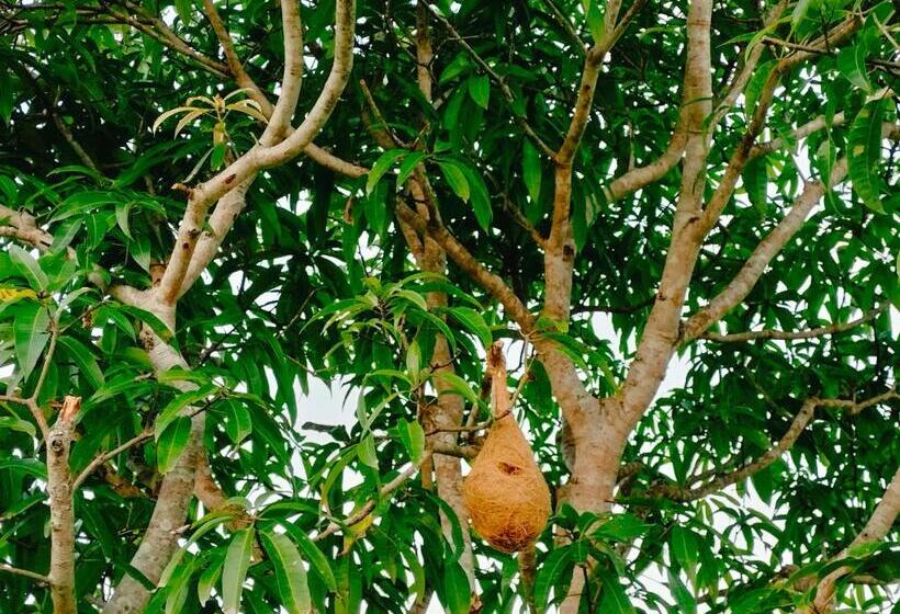 펜션 The Woodlands Hideaway   Premium Acreage Guesthouse