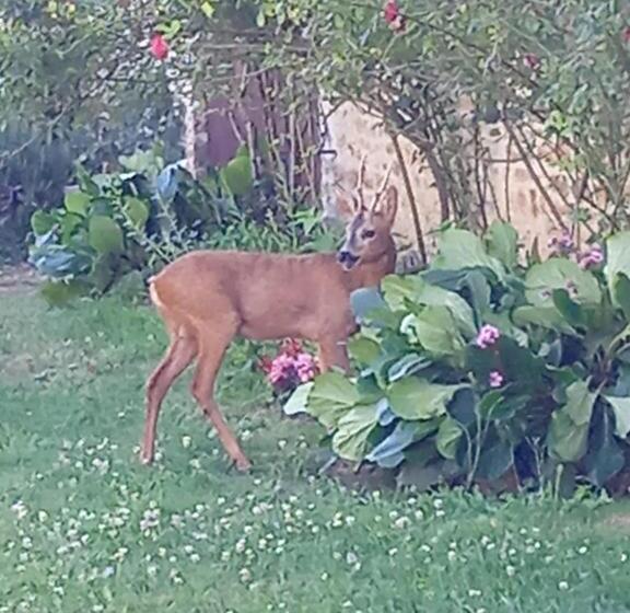 민박 Coucouhirondelle