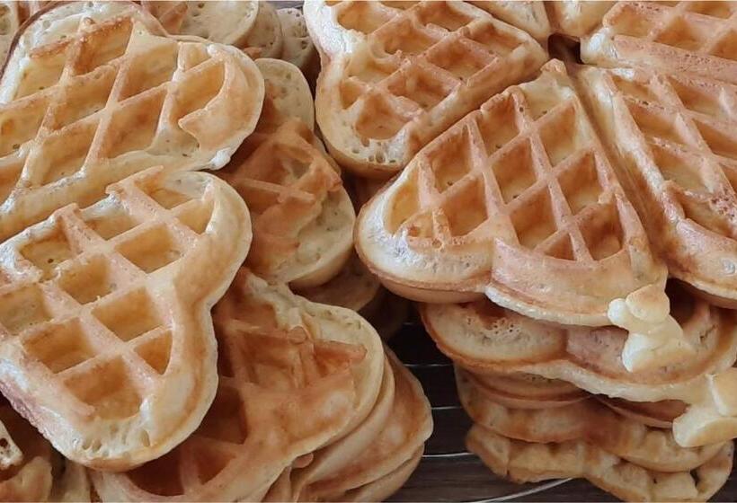 민박 Le Fief Guibert Hôtel Particulier Maison D Hôtes Et Gîtes