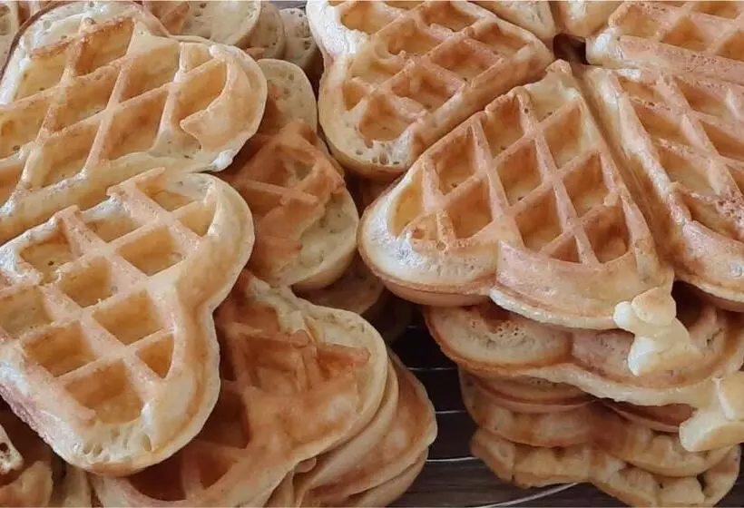 ベッドアンドブレックファースト Le Fief Guibert Hôtel Particulier Maison D Hôtes Et Gîtes