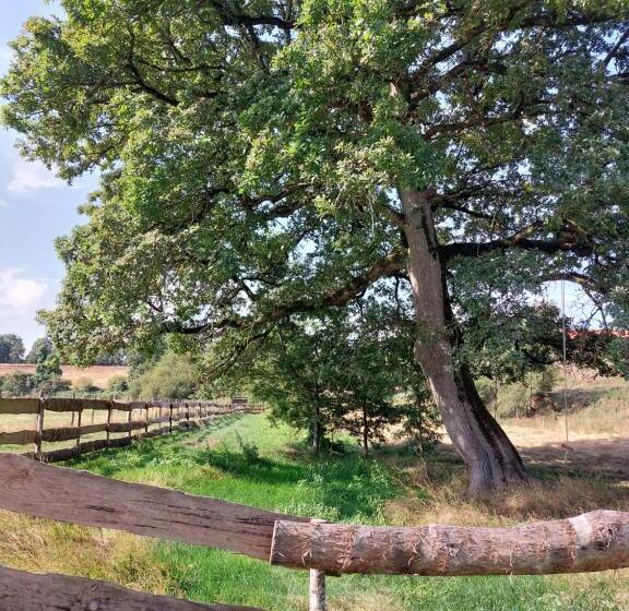 민박 Le Fief Guibert Hôtel Particulier Maison D Hôtes Et Gîtes