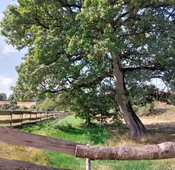 ベッドアンドブレックファースト Le Fief Guibert Hôtel Particulier Maison D Hôtes Et Gîtes