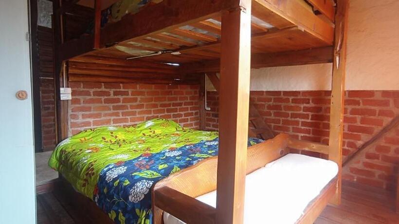 Pensionat Casa De Salomon