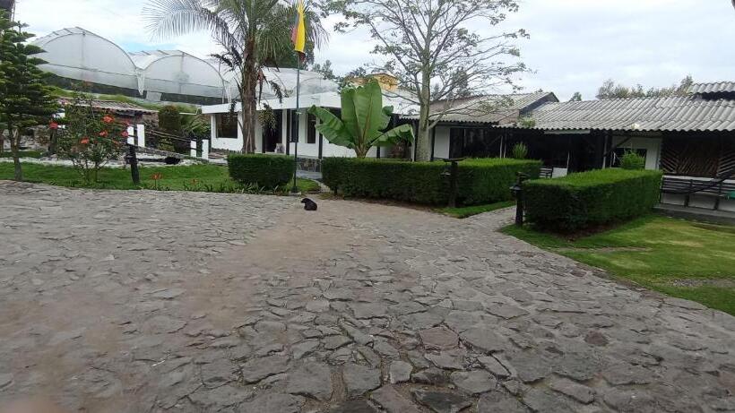 Pensionat Casa De Salomon