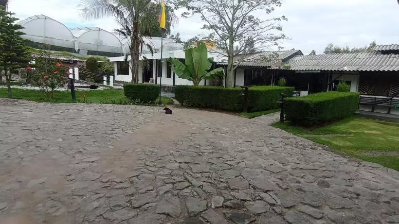 ペンション Casa De Salomon