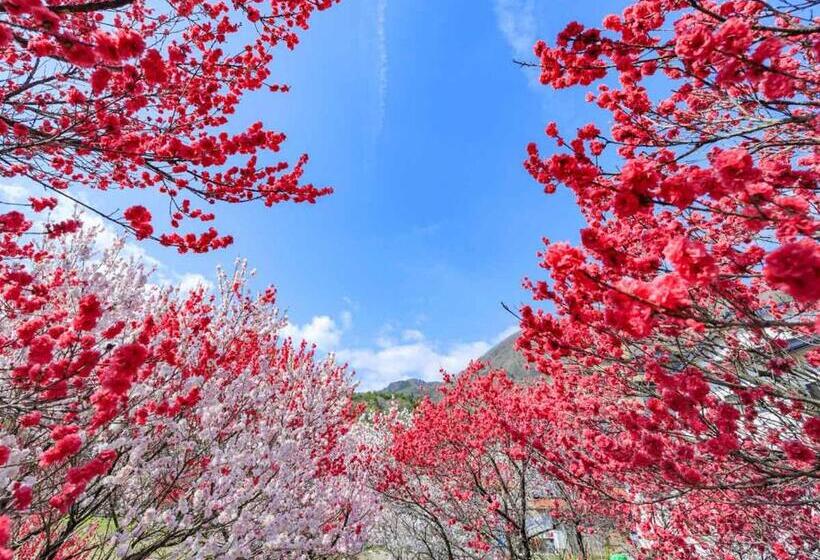 ריוקאן 万葉茶寮みさか