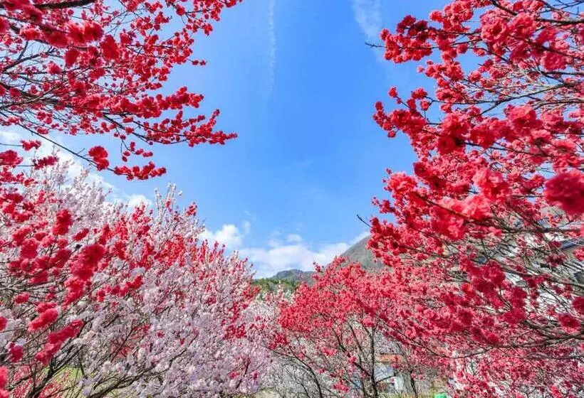 Ryokan 万葉茶寮みさか