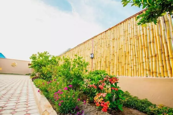 تختخواب و صبحانه Safi House