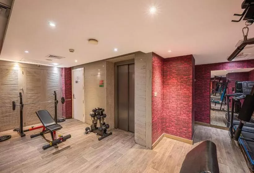 Echor Shimla Hotel   The Zion