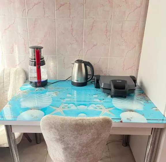 پانسیون Konfor Ve Huzurunuz Için Her şey Var Klimalı Oda