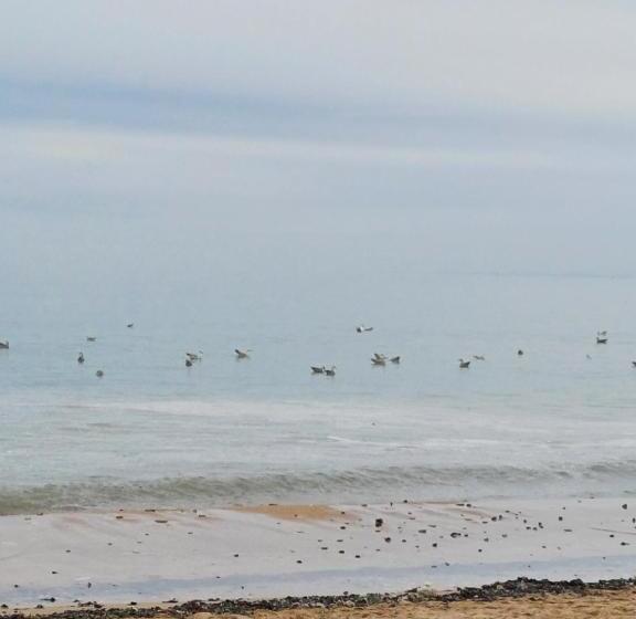 פנסיון Un Petit Studio Moderne Et Conviviale