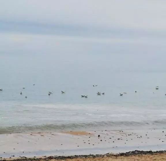 ペンション Un Petit Studio Moderne Et Conviviale