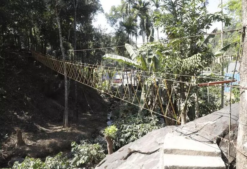 Falling Water Resort By Travent Mug