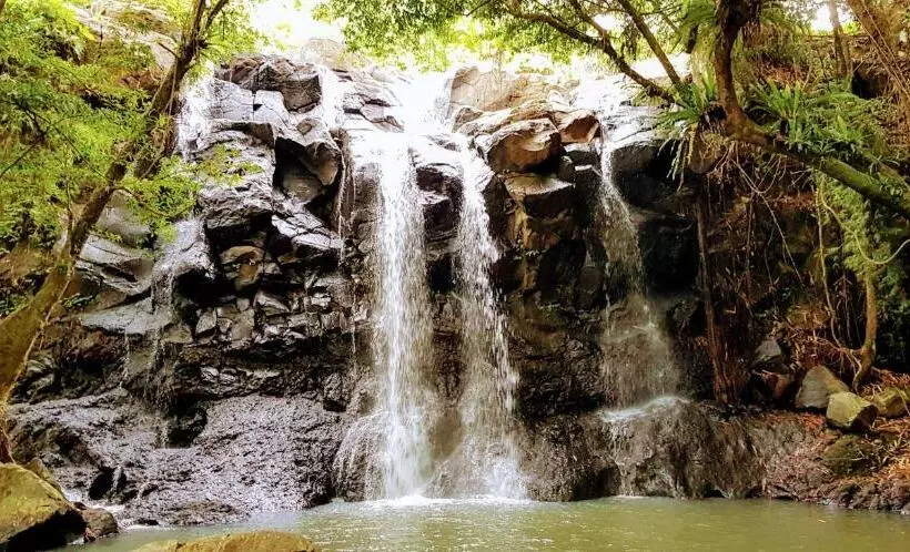 ホテル Puri Dajuma Terrace Eco Lodge & Spa