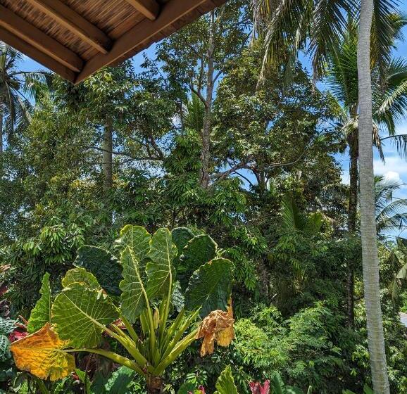 בית מלון כפרי Puri Dajuma Terrace Eco Lodge & Spa