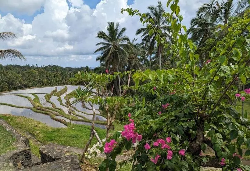 ホテル Puri Dajuma Terrace Eco Lodge & Spa