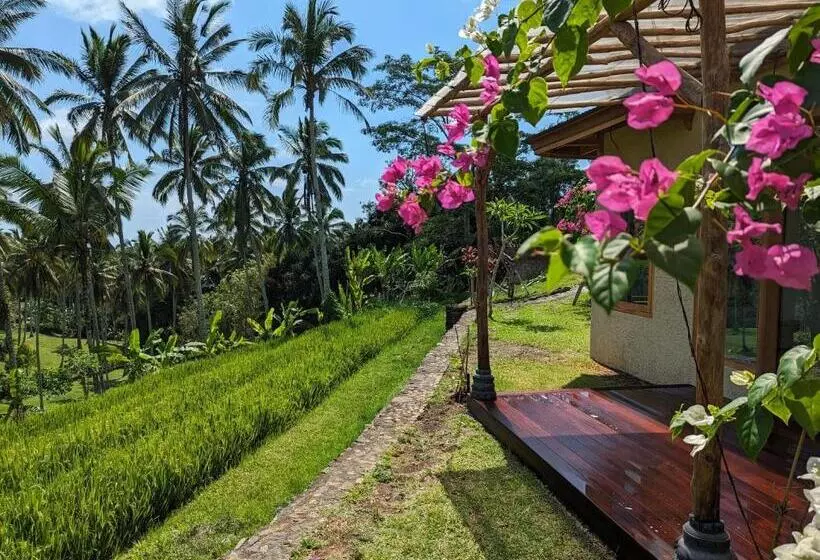 ホテル Puri Dajuma Terrace Eco Lodge & Spa