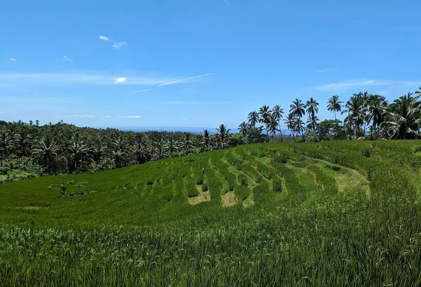 ホテル Puri Dajuma Terrace Eco Lodge & Spa