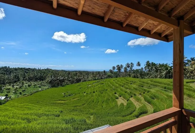 ホテル Puri Dajuma Terrace Eco Lodge & Spa