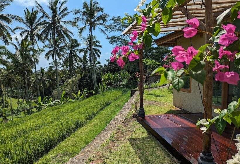 בית מלון כפרי Puri Dajuma Terrace Eco Lodge & Spa