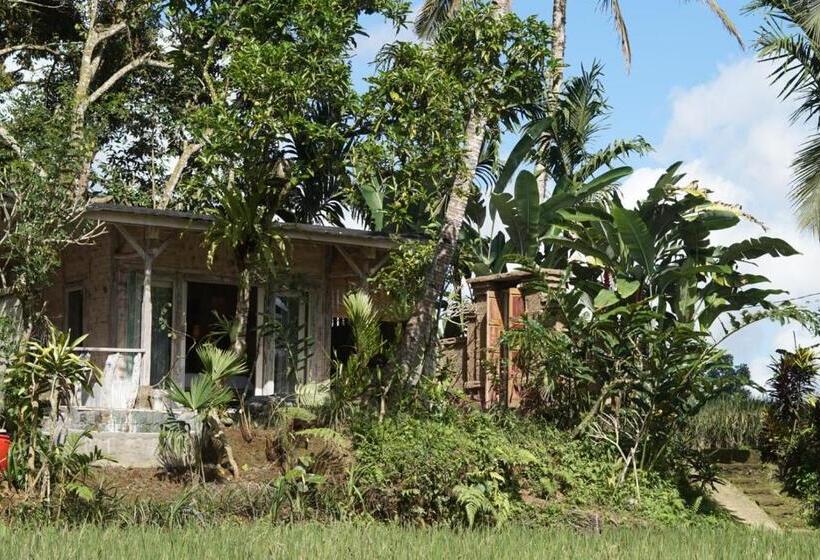 住宿加早餐  Capital O 94012 Dewa Jati House