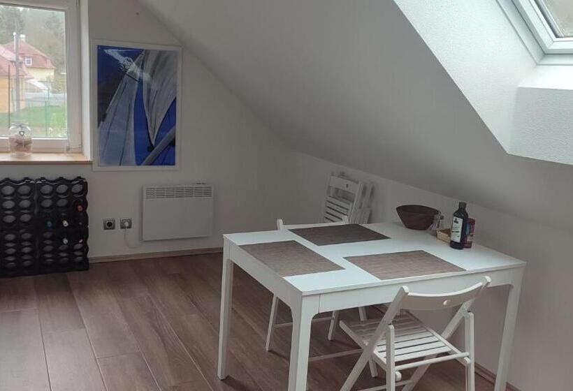 住宿加早餐 Frejstejn House, Artist S Residence