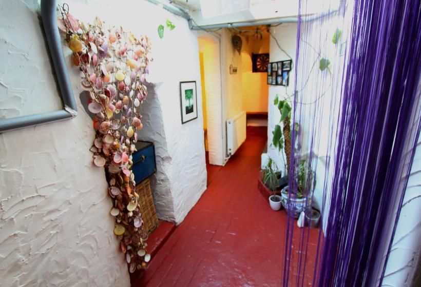 هاستل Seadragon Backpackers