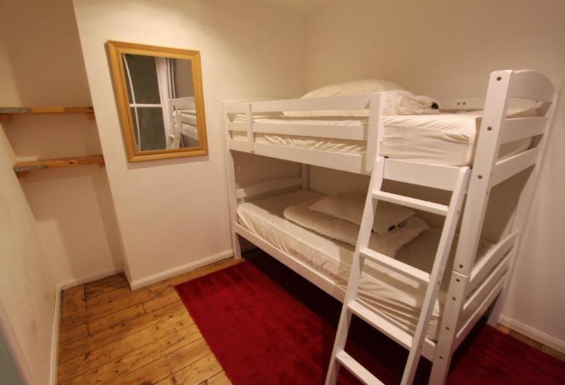 هاستل Seadragon Backpackers