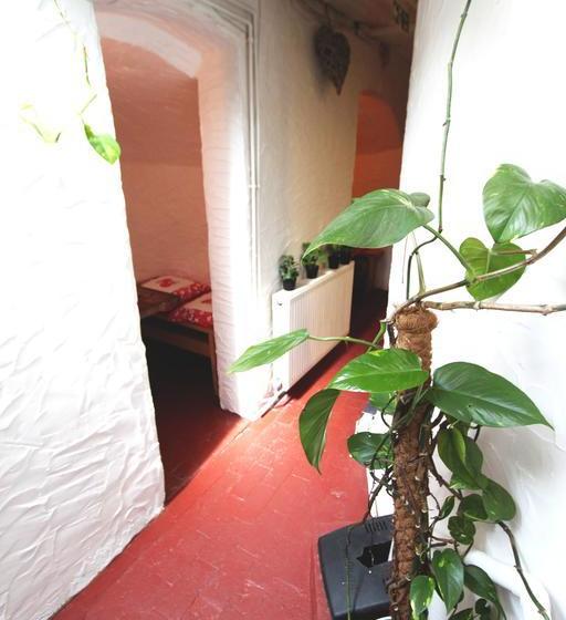 هاستل Seadragon Backpackers