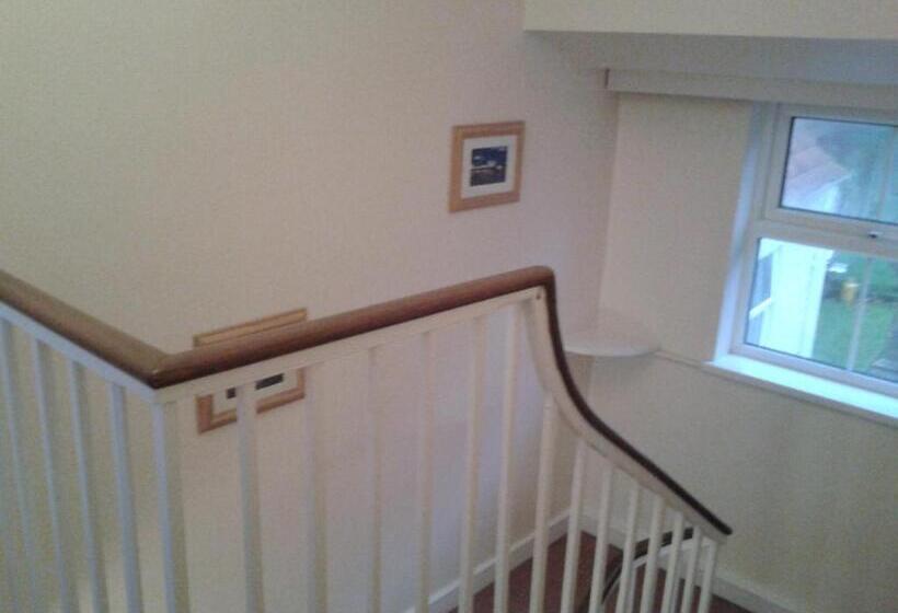 Bed and Breakfast Franklyn Guesthouse