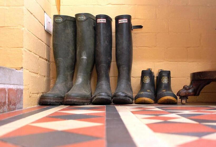 مبيت وإفطار St Katharine S House