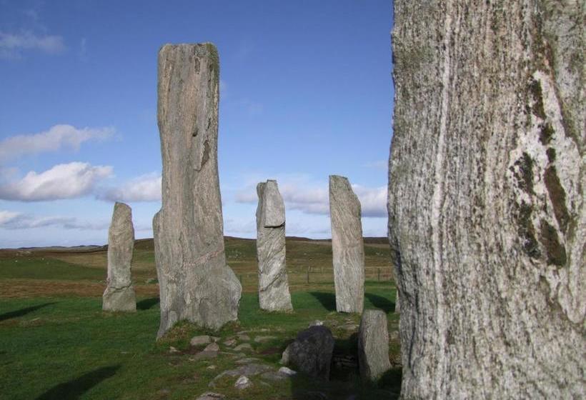 Bed and Breakfast The Dragonfly