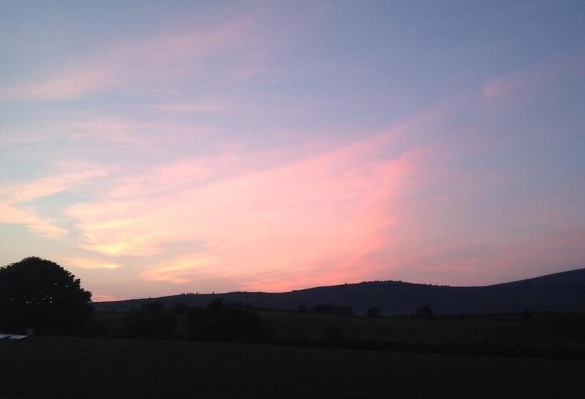 Brynhaul Bed And Breakfast