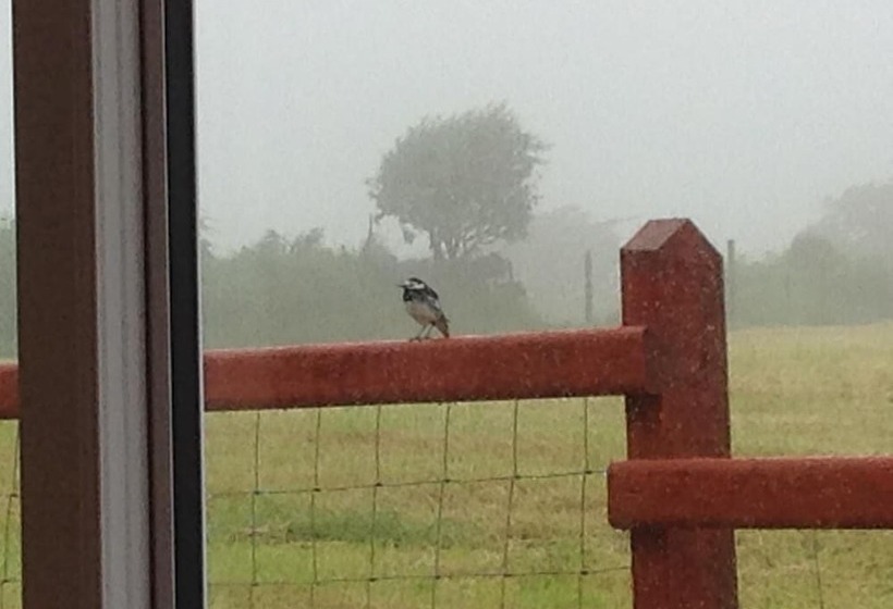 Brynhaul Bed And Breakfast