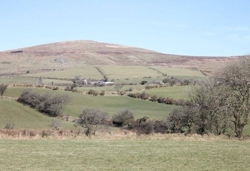 Brynhaul Bed And Breakfast