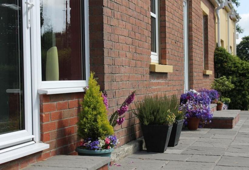 Brynhaul Bed And Breakfast