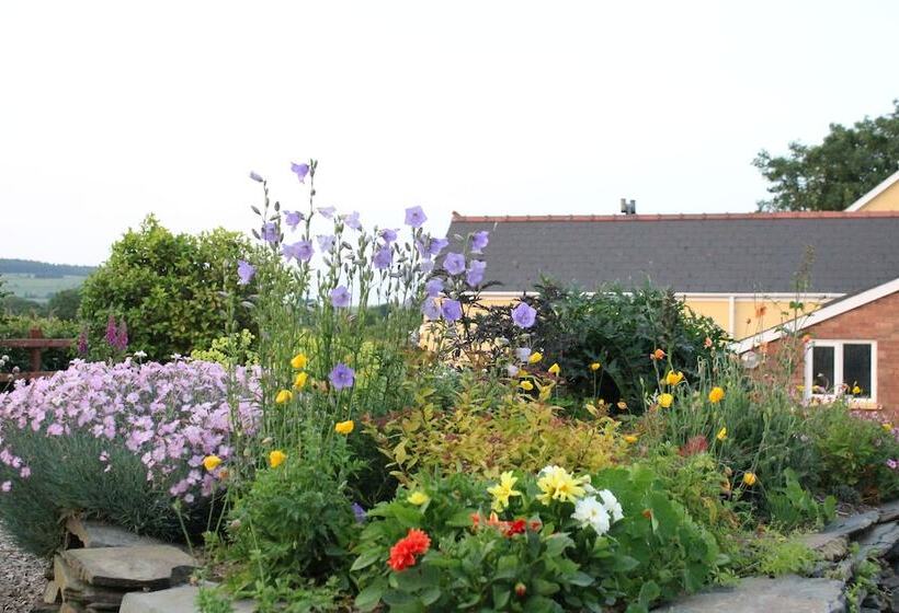 Brynhaul Bed And Breakfast