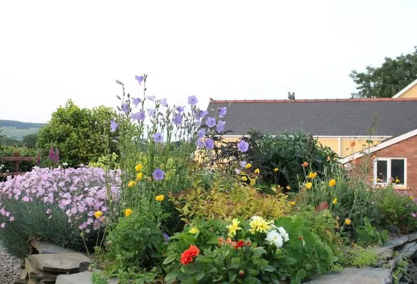Brynhaul Bed And Breakfast