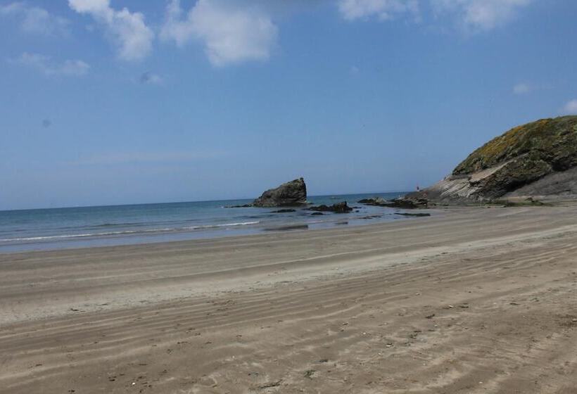 Brynhaul Bed And Breakfast