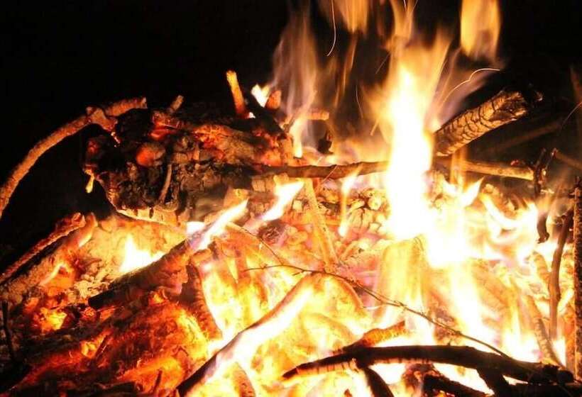 Brynhaul Bed And Breakfast