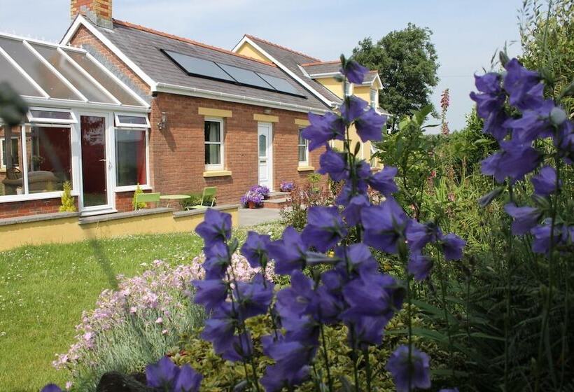 Brynhaul Bed And Breakfast