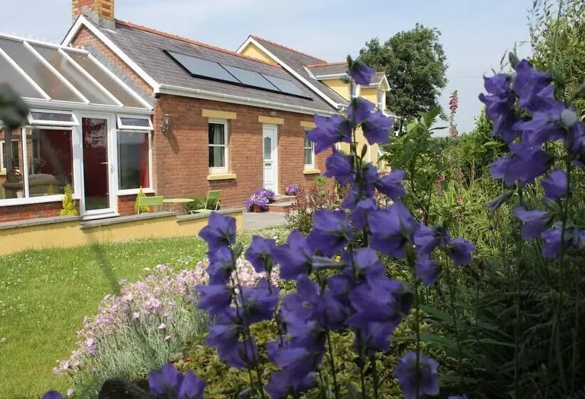 Brynhaul Bed And Breakfast