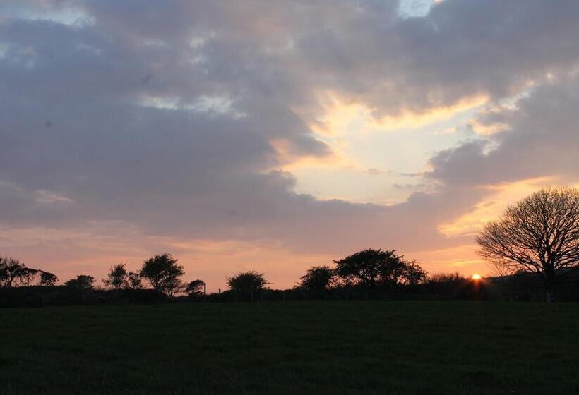 Brynhaul Bed And Breakfast