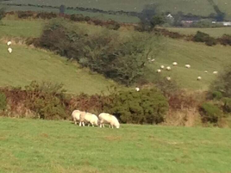 Brynhaul Bed And Breakfast