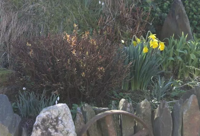 Brynhaul Bed And Breakfast