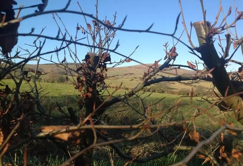 Brynhaul Bed And Breakfast