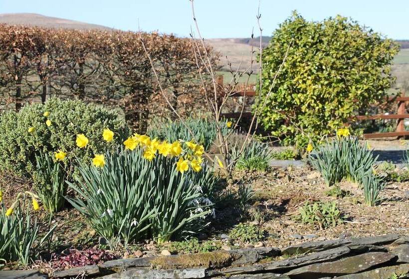 Brynhaul Bed And Breakfast