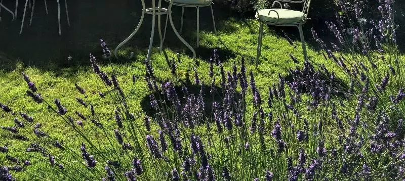 Cawdor House B&b